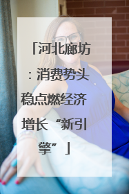 河北廊坊：消费势头稳点燃经济增长“新引擎”