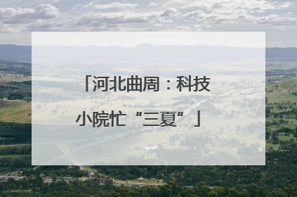 河北曲周：科技小院忙“三夏”