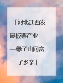 河北迁西发展板栗产业——绿了山间富了乡亲