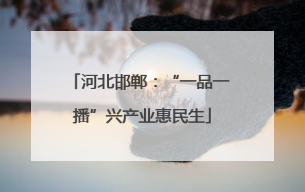 河北邯郸：“一品一播”兴产业惠民生