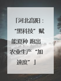 河北高阳：“黑科技”赋能夏种 跑出农业生产“加速度”