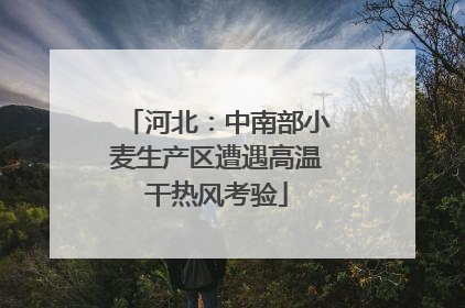 河北：中南部小麦生产区遭遇高温干热风考验
