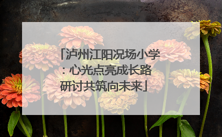 泸州江阳况场小学：心光点亮成长路 研讨共筑向未来