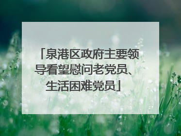 泉港区政府主要领导看望慰问老党员、生活困难党员