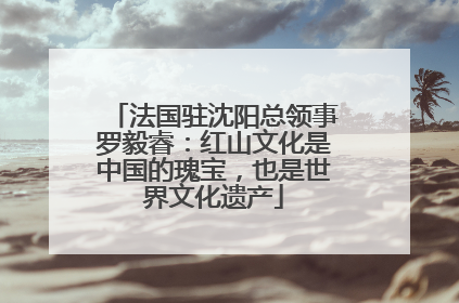 法国驻沈阳总领事罗毅睿：红山文化是中国的瑰宝，也是世界文化遗产