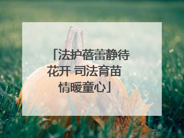 法护蓓蕾静待花开 司法育苗情暖童心