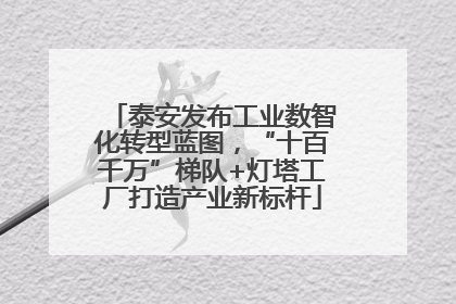 泰安发布工业数智化转型蓝图，“十百千万”梯队+灯塔工厂打造产业新标杆