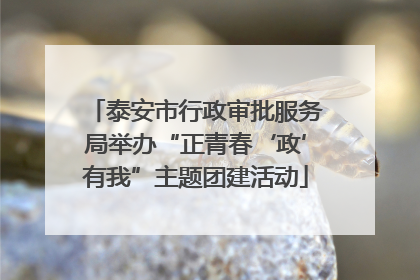 泰安市行政审批服务局举办“正青春‘政’有我”主题团建活动