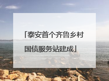 泰安首个齐鲁乡村国债服务站建成