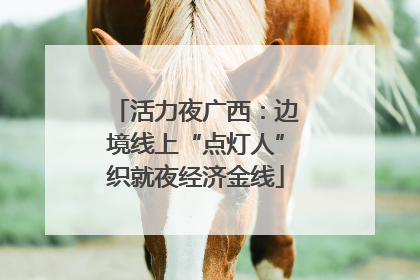 活力夜广西：边境线上“点灯人”织就夜经济金线