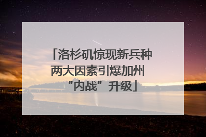 洛杉矶惊现新兵种 两大因素引爆加州“内战”升级