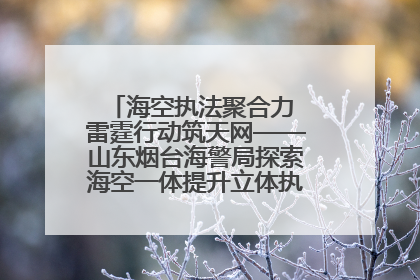 海空执法聚合力 雷霆行动筑天网——山东烟台海警局探索海空一体提升立体执法效能纪实