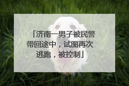 济南一男子被民警带回途中，试图再次逃跑，被控制