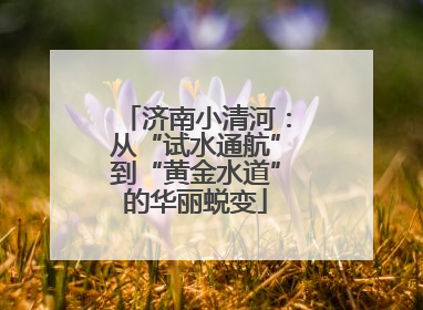 济南小清河：从“试水通航”到“黄金水道”的华丽蜕变