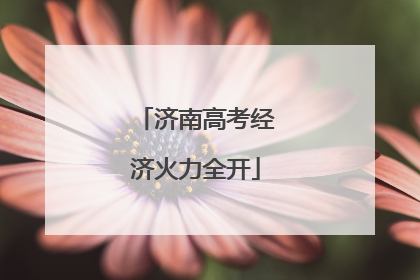 济南高考经济火力全开