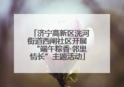 济宁高新区洸河街道西闸社区开展“端午粽香·邻里情长”主题活动