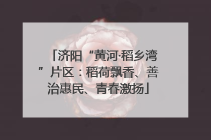 济阳“黄河·稻乡湾”片区：稻荷飘香、善治惠民、青春激扬