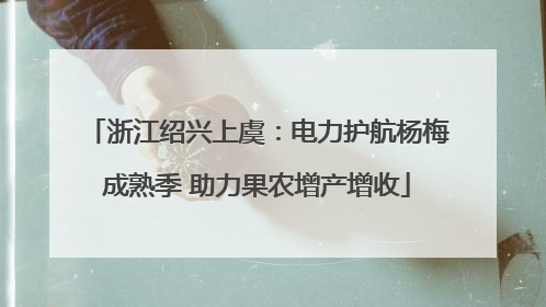 浙江绍兴上虞：电力护航杨梅成熟季 助力果农增产增收
