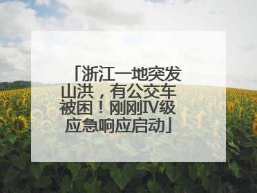 浙江一地突发山洪，有公交车被困！刚刚Ⅳ级应急响应启动