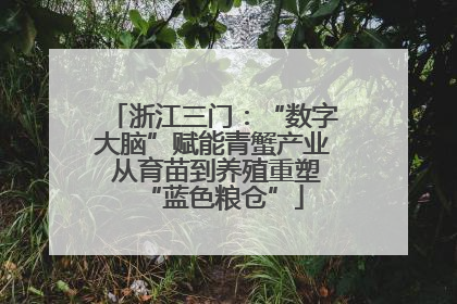 浙江三门：“数字大脑”赋能青蟹产业 从育苗到养殖重塑“蓝色粮仓”