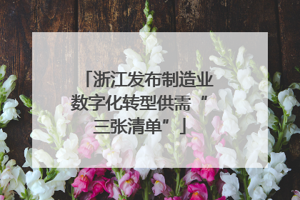 浙江发布制造业数字化转型供需“三张清单”