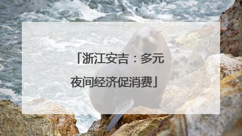 浙江安吉：多元夜间经济促消费