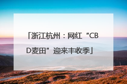 浙江杭州：网红“CBD麦田”迎来丰收季