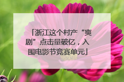 浙江这个村产“爽剧”点击量破亿，入围电影节竞赛单元