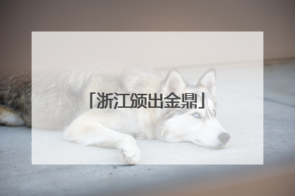 浙江颁出金鼎