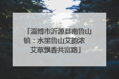 淄博市沂源县南鲁山镇：水墨鲁山艾韵浓 艾草飘香共富路