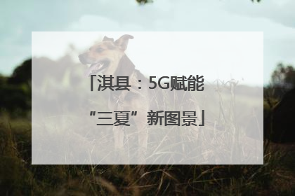 淇县：5G赋能“三夏”新图景