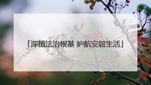 深植法治根基 护航安居生活