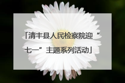 清丰县人民检察院迎“七一”主题系列活动