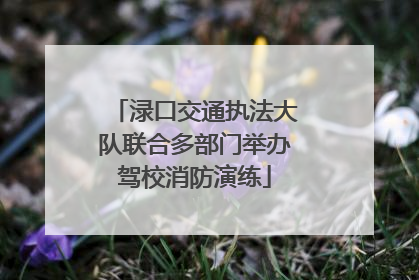 渌口交通执法大队联合多部门举办驾校消防演练