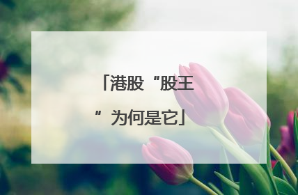 港股“股王”为何是它