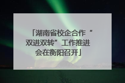 湖南省校企合作“双进双转”工作推进会在衡阳召开