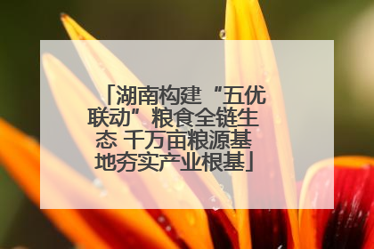 湖南构建“五优联动”粮食全链生态 千万亩粮源基地夯实产业根基