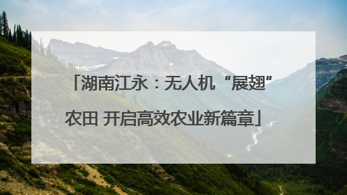 湖南江永：无人机“展翅”农田 开启高效农业新篇章