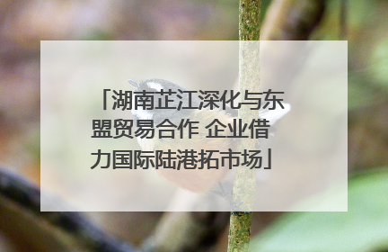 湖南芷江深化与东盟贸易合作 企业借力国际陆港拓市场