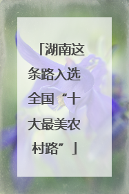 湖南这条路入选全国“十大最美农村路”