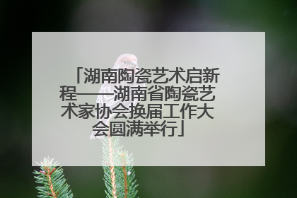 湖南陶瓷艺术启新程——湖南省陶瓷艺术家协会换届工作大会圆满举行