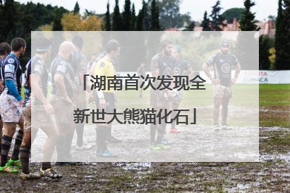 湖南首次发现全新世大熊猫化石