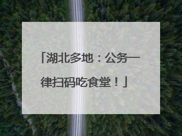 湖北多地：公务一律扫码吃食堂！