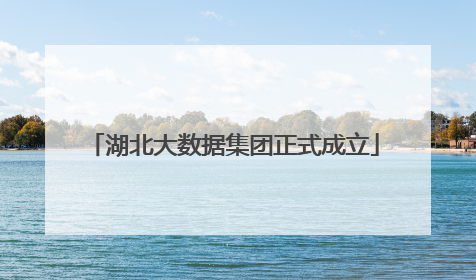 湖北大数据集团正式成立