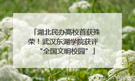 湖北民办高校首获殊荣！武汉东湖学院获评“全国文明校园”