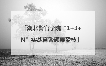 湖北警官学院“1+3+N”实战育警硕果盈枝