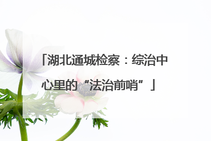 湖北通城检察：综治中心里的“法治前哨”