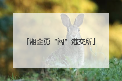 湘企勇“闯”港交所