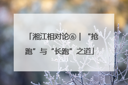 湘江相对论⑥｜“抢跑”与“长跑”之道