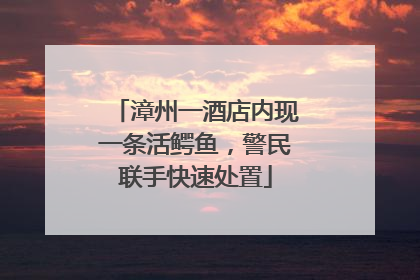 漳州一酒店内现一条活鳄鱼，警民联手快速处置